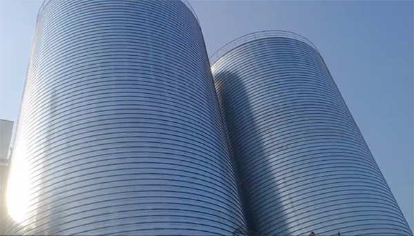 遂昌2座混凝土高架卷板仓